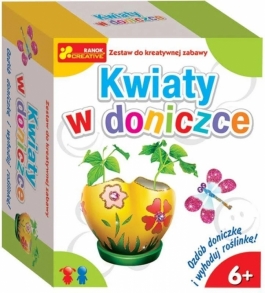 Kwiaty W Doniczce - Hurtownia Zabawek Poznań