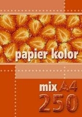 Papier Ksero A4/250 Mix - Hurtownia Zabawek Poznań